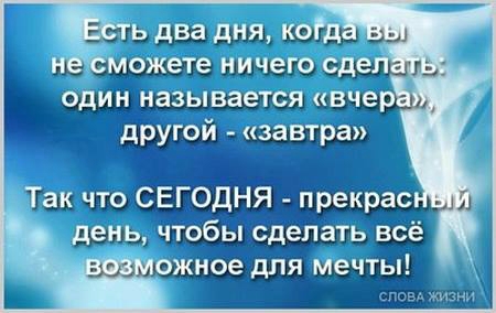 «Без названия»
