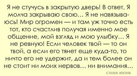 «Без названия»