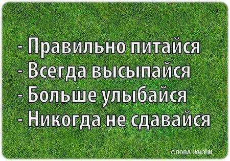 «Без названия»