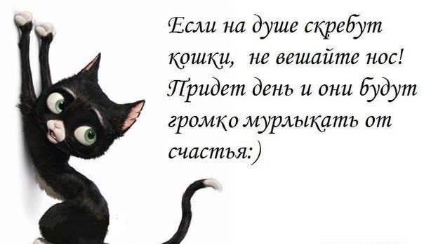 «Без названия»