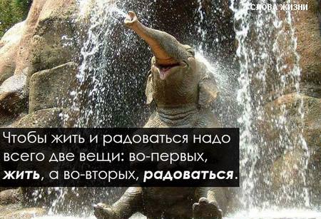 «Без названия»