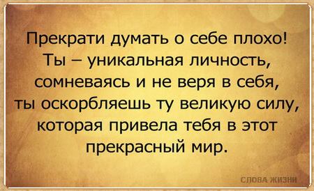 «Без названия»