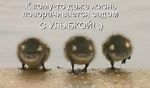 Без названия
