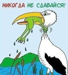 Без названия