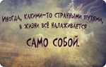 Без названия
