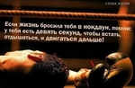 Без названия