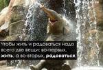 Без названия