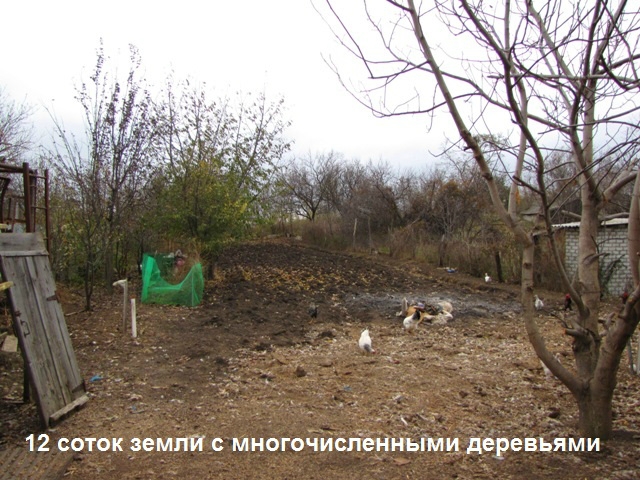 «Без названия»
