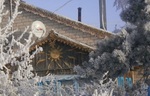 Без названия