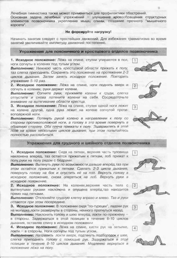 «Без названия»