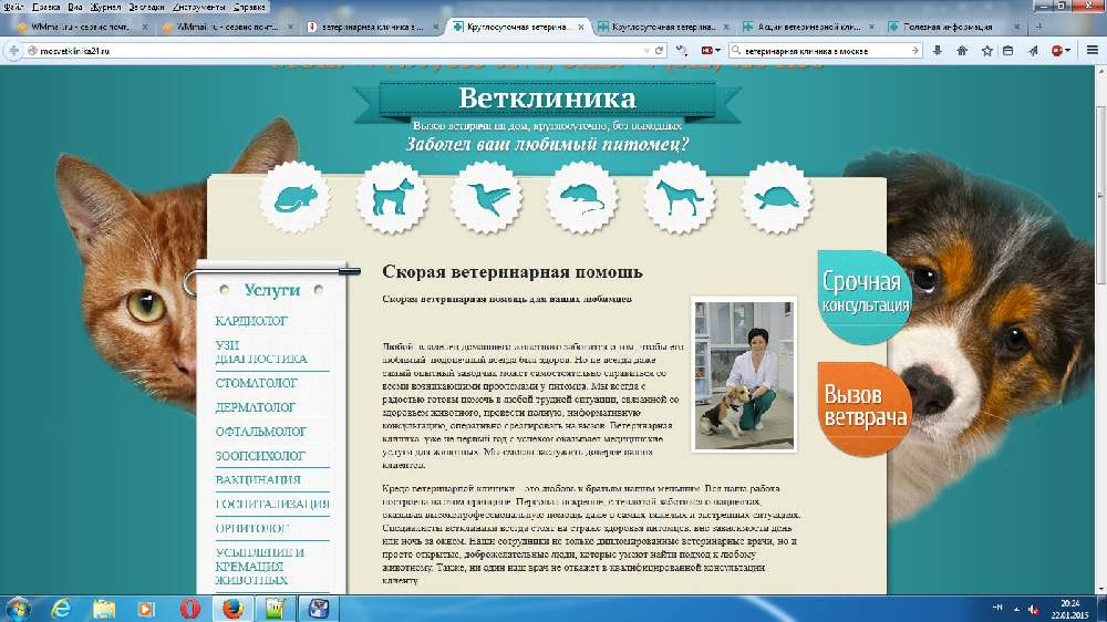 «Без названия»