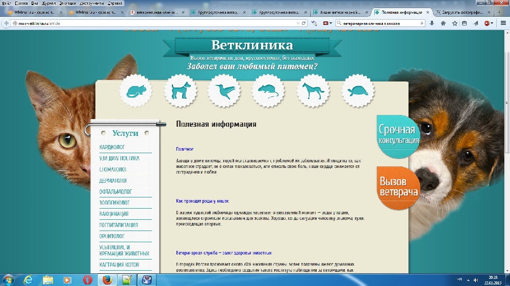 «Без названия»
