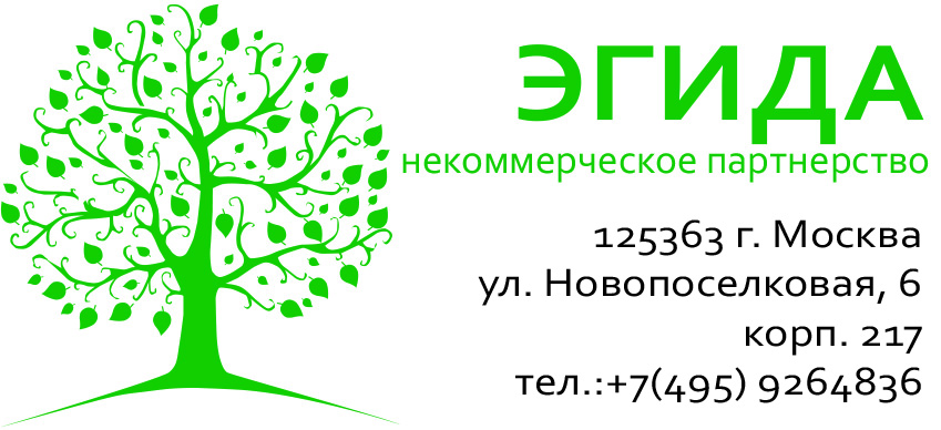 «Без названия»
