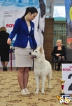 Без названия