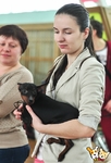 Без названия
