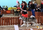 Без названия