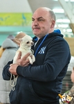 Без названия
