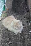 Без названия