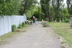 Без названия