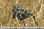 Без названия