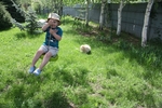 Без названия