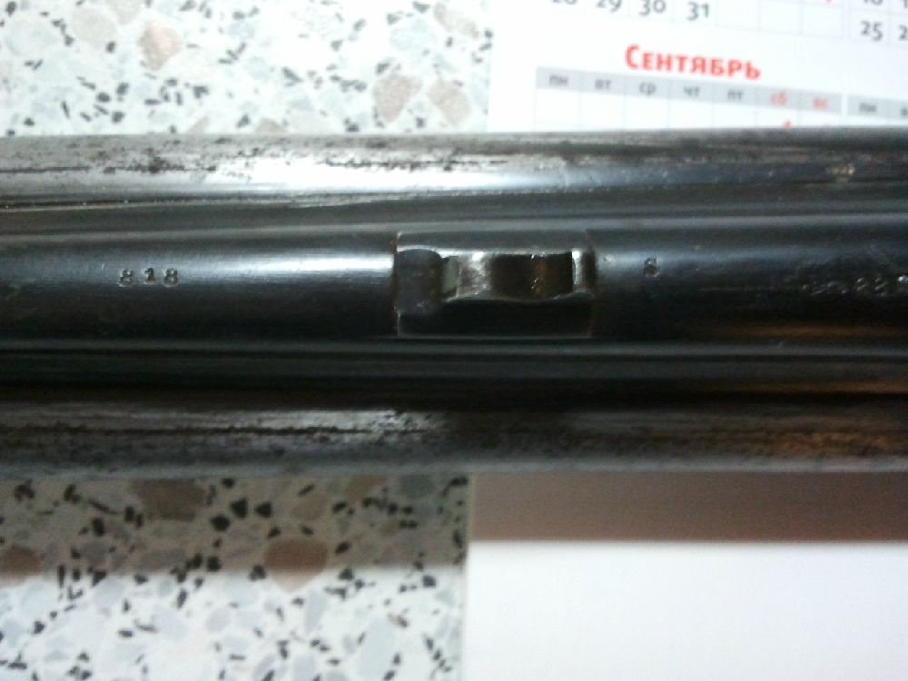 «Без названия»