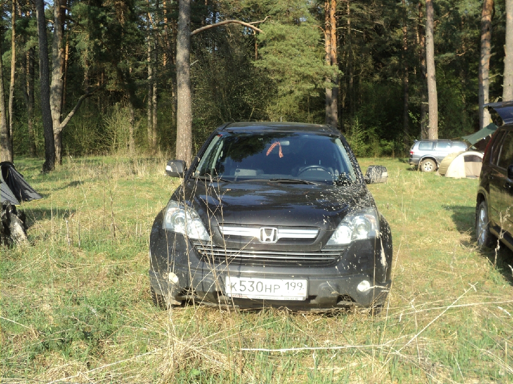 «Без названия»