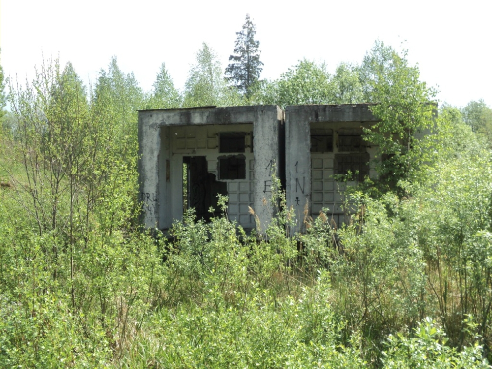 «Без названия»