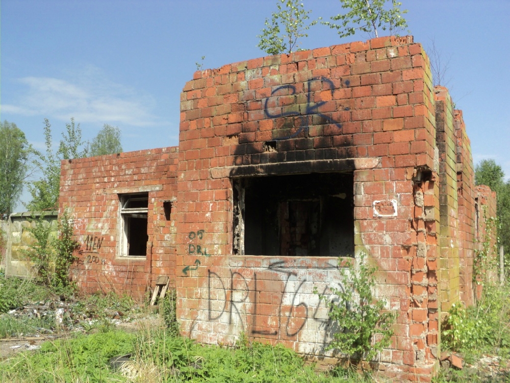 «Без названия»
