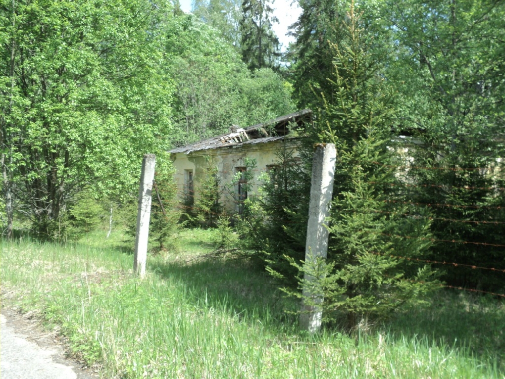 «Без названия»