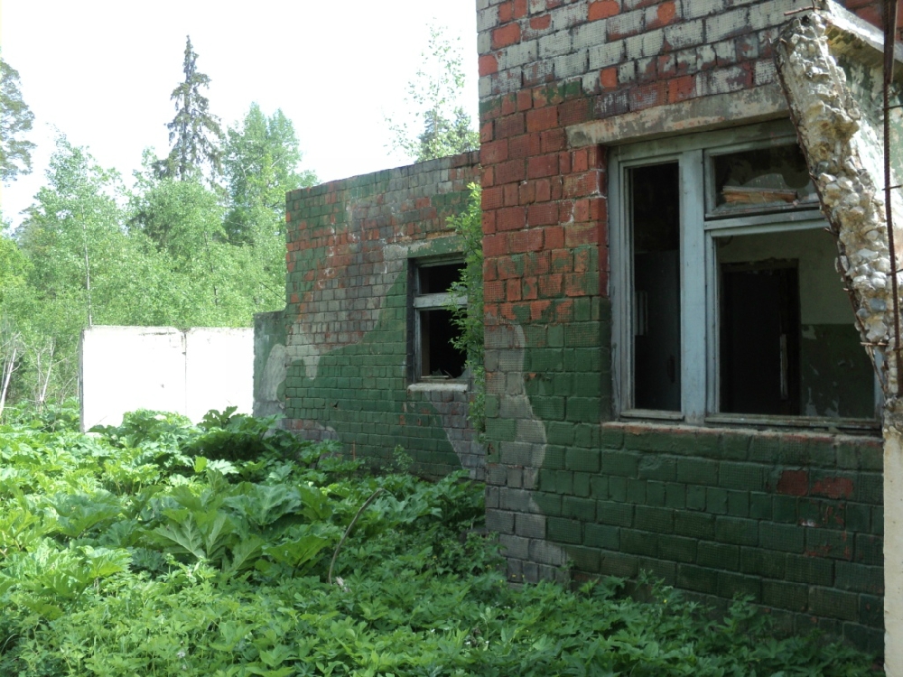 «Без названия»