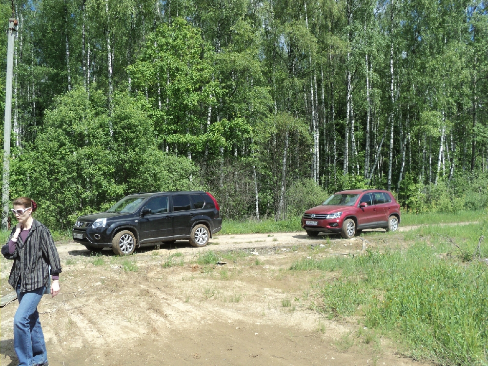 «Без названия»