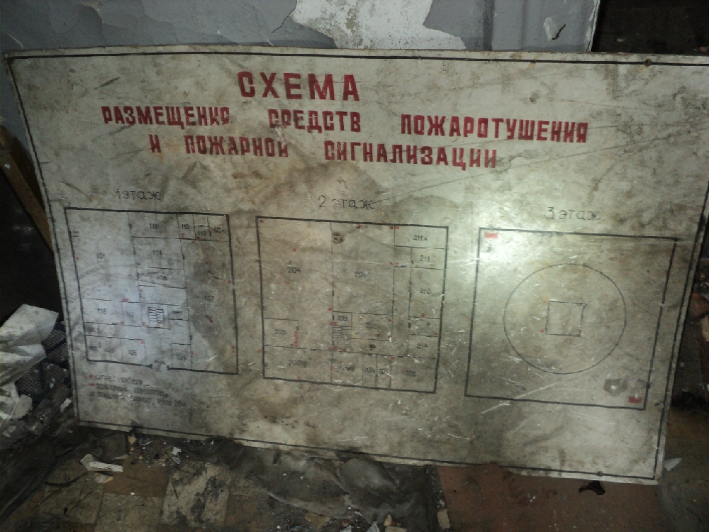 «Без названия»