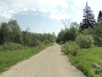 Без названия