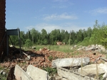 Без названия