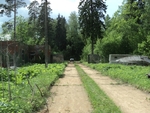 Без названия