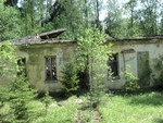 Без названия
