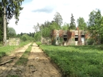 Без названия