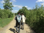 Без названия