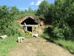 Без названия