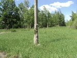 Без названия
