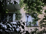 Антенна 