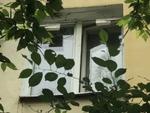 Без названия