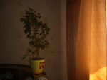 Фотоальбом 22 апреля 2012 года