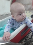 Конец августа и начало сентября