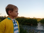 Там гуляля бабушка рая