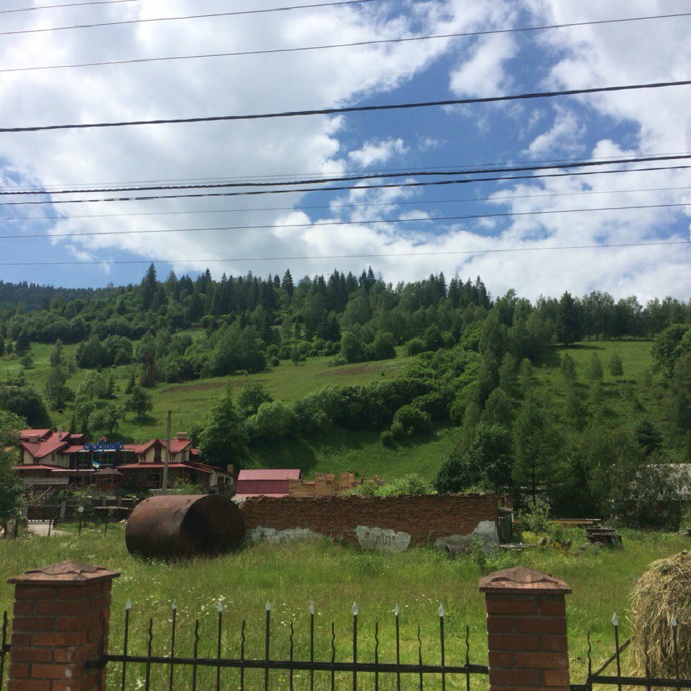 «Без названия»