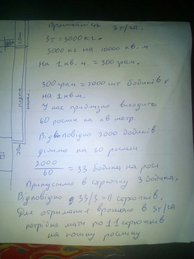 «Без названия»