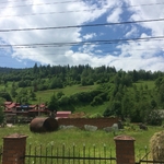 Без названия