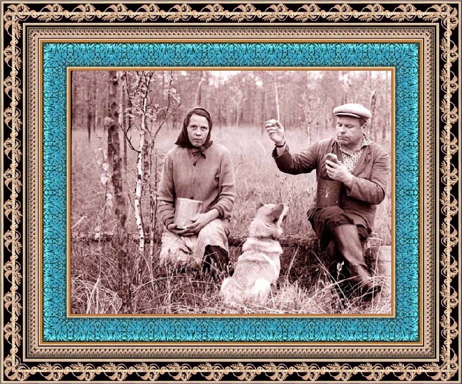 «ЗА КЛЮКВОЙ! СЕВЕРНЫЙ УРАЛ. КОНЕЦ 50-Х ГОДОВ.»